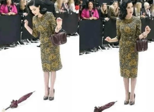 蒂塔万提斯(Dita Von Teese)是谁 最优雅的舞娘预览图