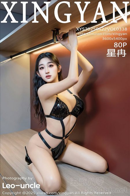 [XINGYAN星颜社]2025.04.22 VOL.338 星冉[80+1P／679MB]预览图